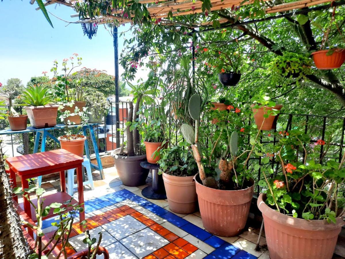 La Terraza Del Pochote Oaxaca Exteriér fotografie